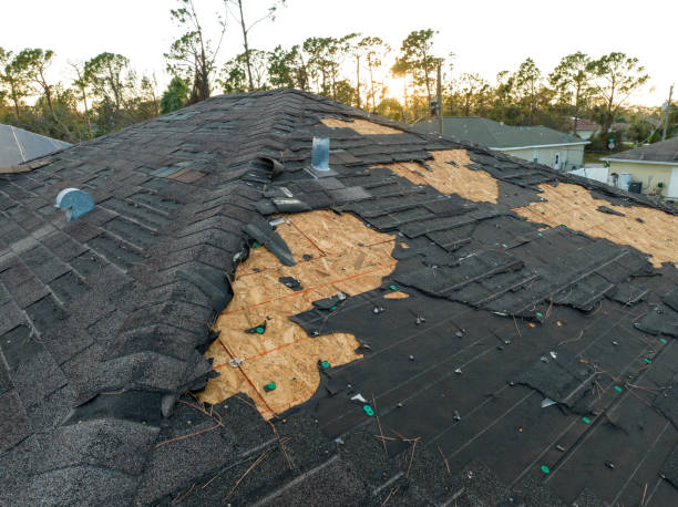 Trusted Millbrook, AL Roofing Service Experts
