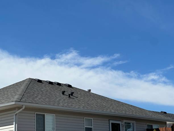 Best Cold Roofs  in Millbrook, AL